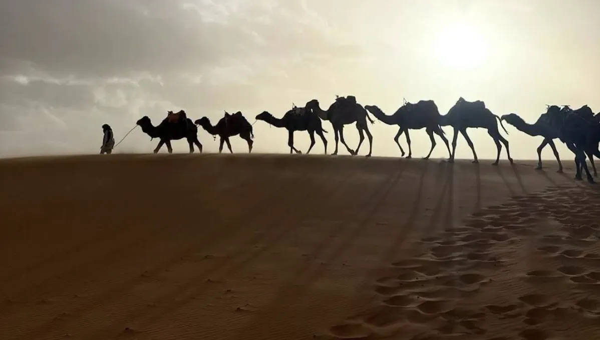 Merzouga (Sahara)